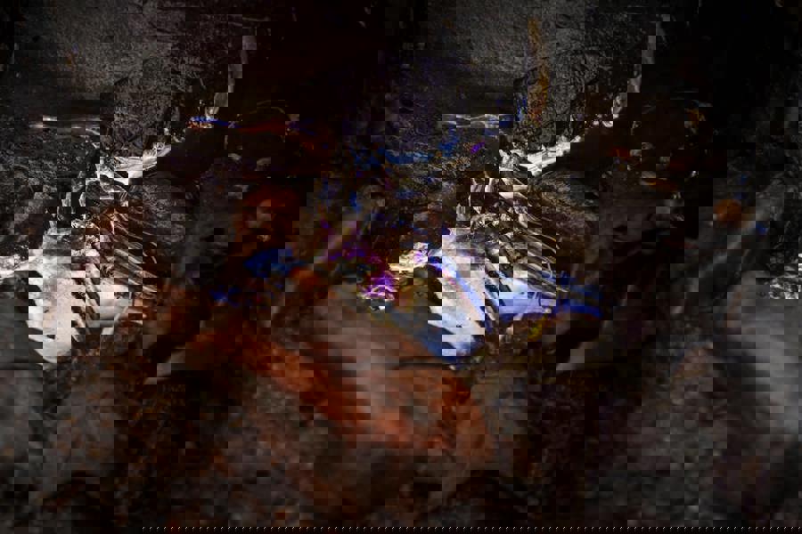 Obrázek pexels-chris-f-38966-7691838.jpg