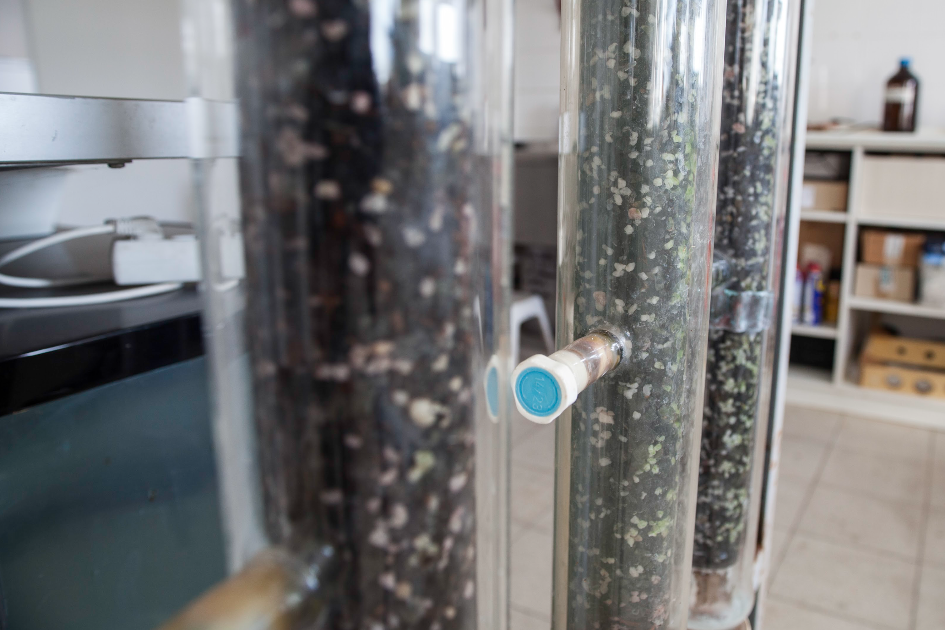 Different types of soil in tubes