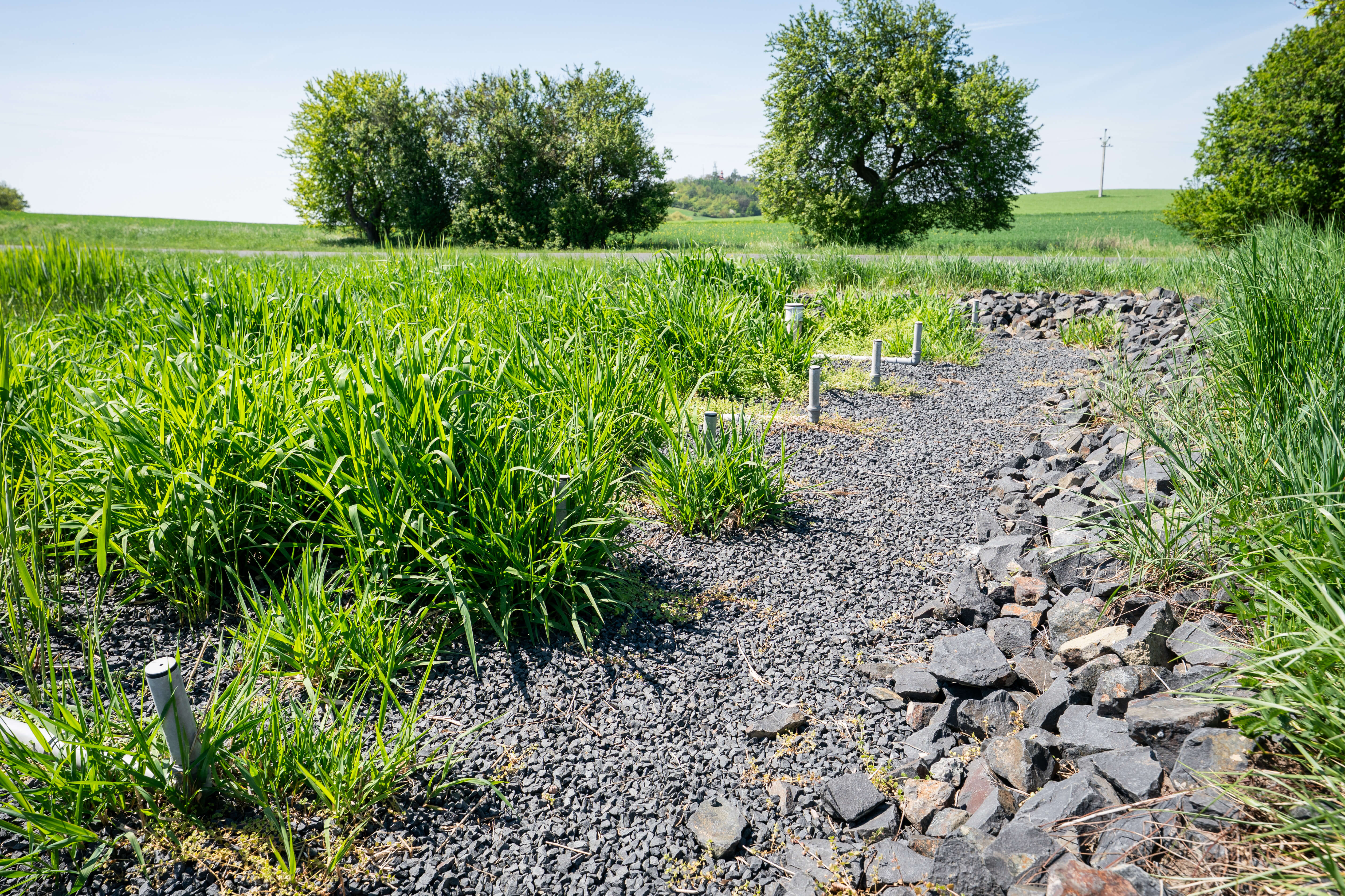 Obrázek dsc07599.jpg