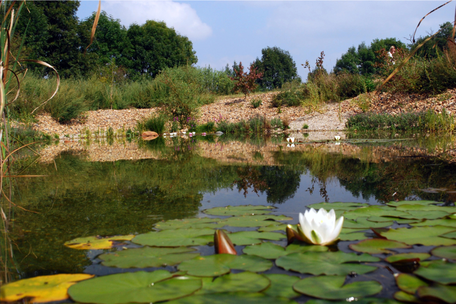 Artificially created pond