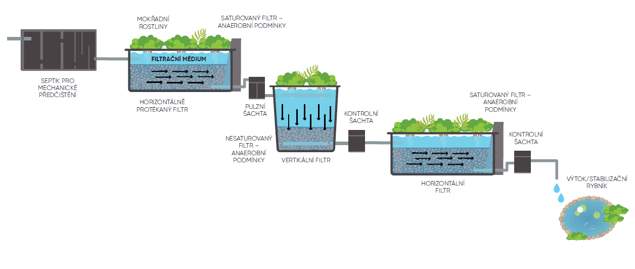 Obrázek schéma-kořenovky-2.png