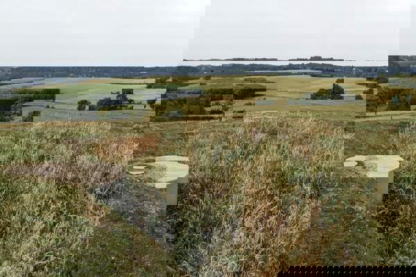 Ilustrační obrázek článku 'Kořenová čistírna v Klokočné'