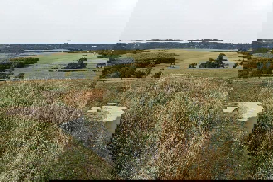 Obrázek pxl_20240621_083245906mp.jpg